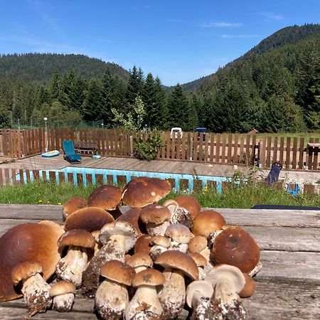 Ban-sur-Meurthe-ClefcyLe Perchoir- Grand Valtin 6 Persアパートメント エクステリア 写真